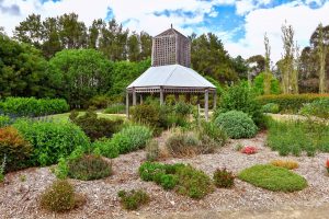 Read more about the article 21 Oct 2023: Picton Botanic Gardens