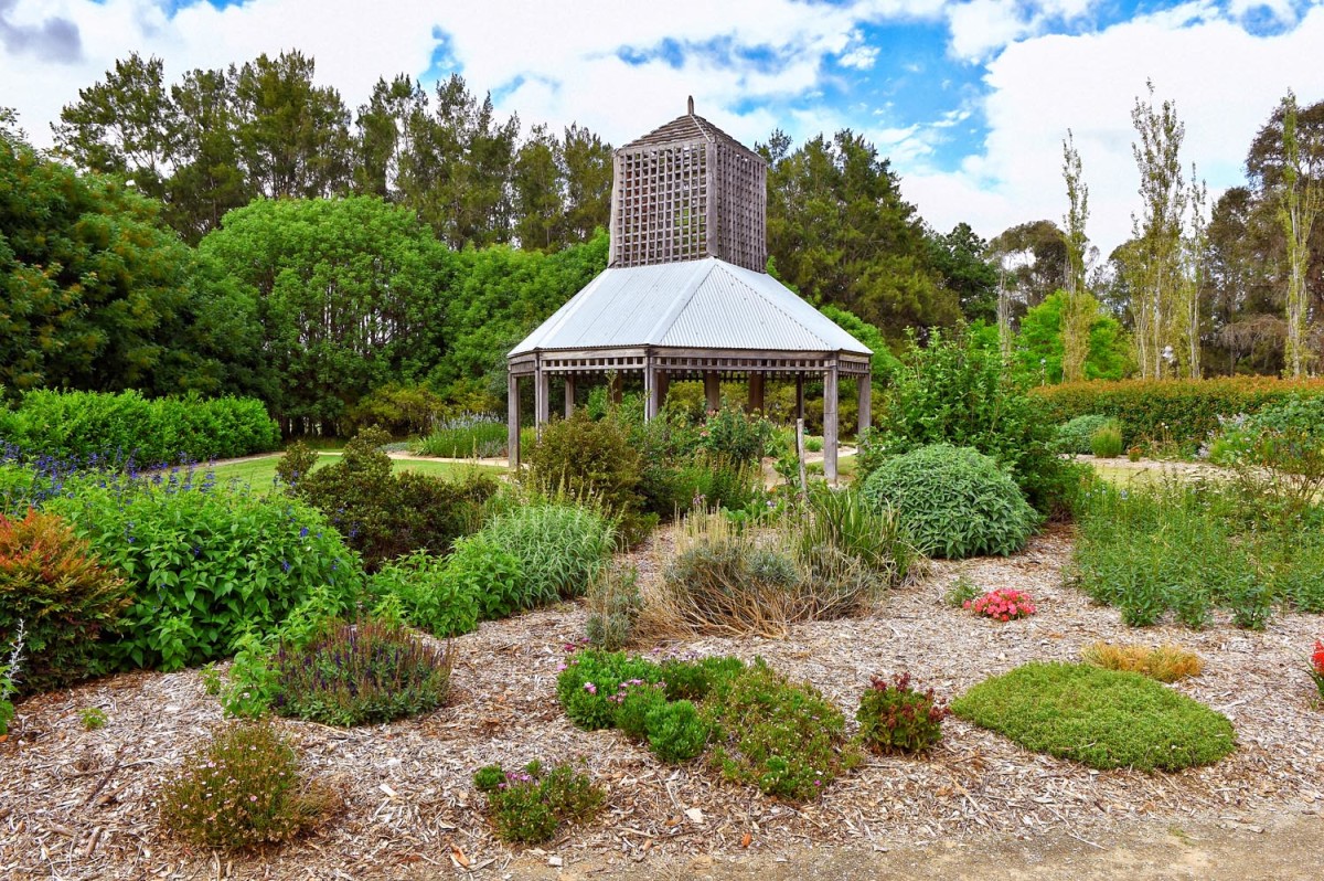You are currently viewing 21 Oct 2023: Picton Botanic Gardens