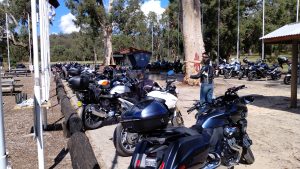 13th Apr 2024: Joint Branches Ride to Grey Gum Café