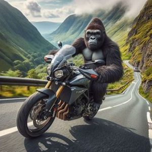 Read more about the article 18 to 21 June 2024: TTTTF Ride